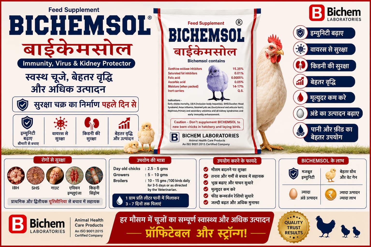 BICHEMSOL