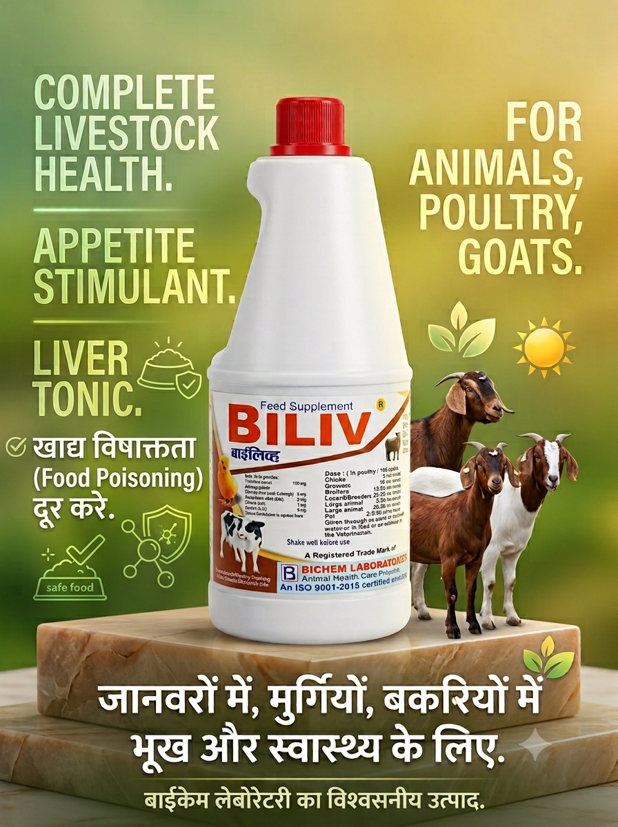 BILIV