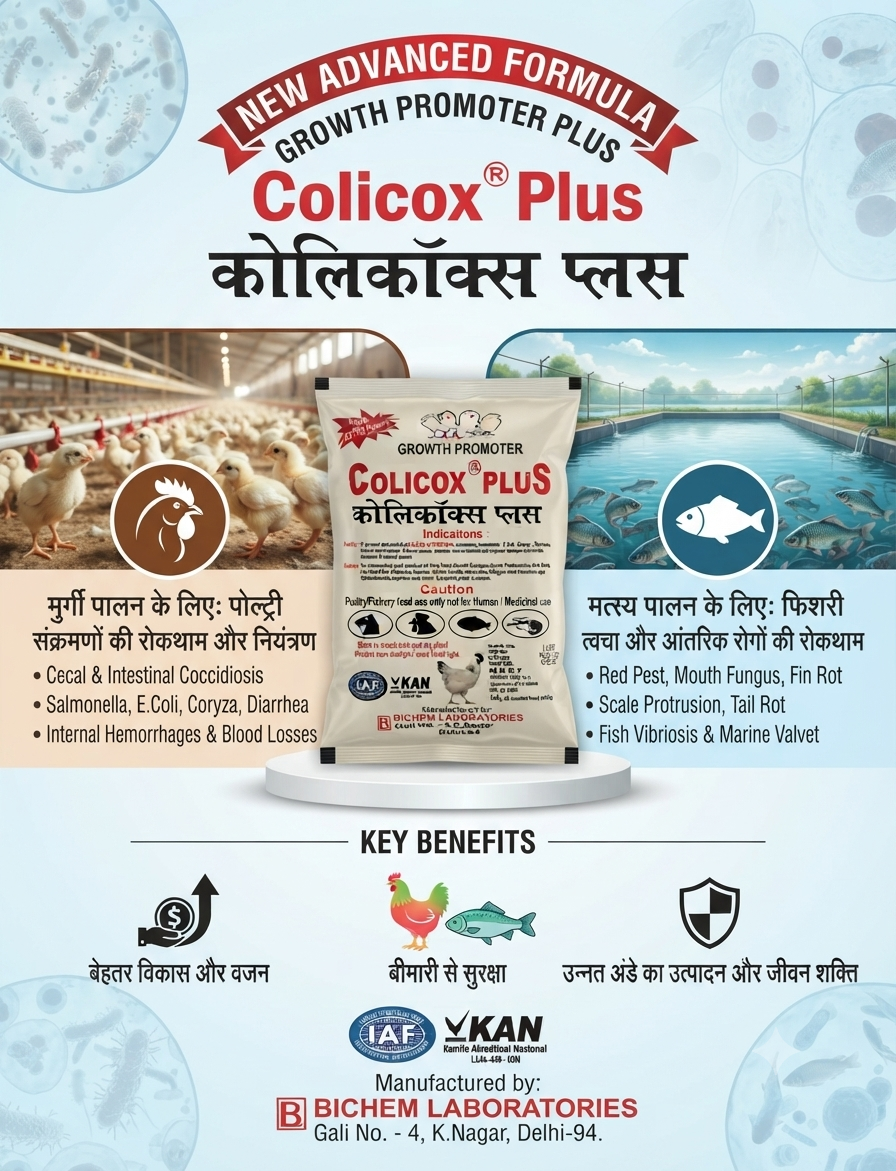 COLICOX PLUS