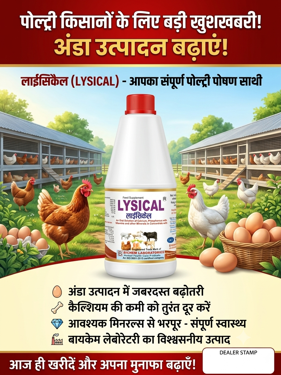LYSICAL